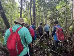 Kegiatan Tata Batas KPH Tana Tidung