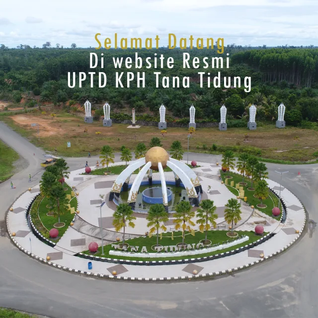 Selamat Datang Di Website UPTD Kesatuan Pengelolaan Hutan (KPH) Tana Tidung Provinsi Kalimantan Utara